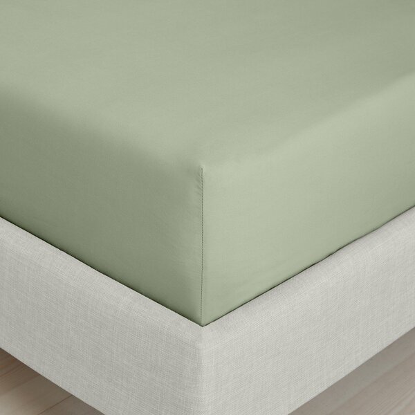 Зелен еластичен чаршаф от памук перкал 90x190 cm Cotton Percale – Bianca