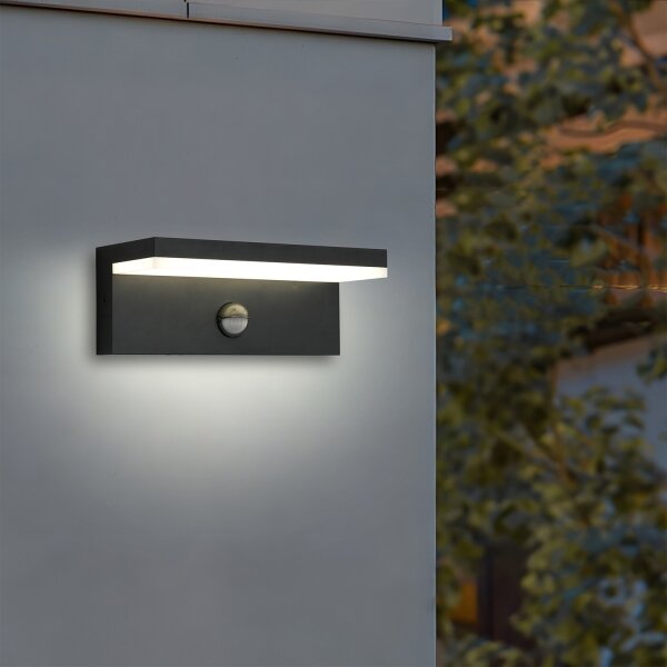 Brilagi-LED Външно стенно осветително тяло с сензор TESSI LED/10W/230V черно IP54