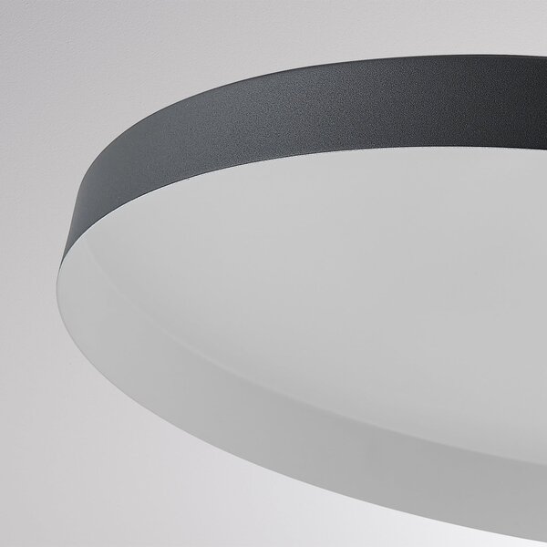 Molto Luce LED висяща лампа за шина LORA III, черна, Ø 36 см, 40°, CCT, 3-фазна, Черен, Дневна/трапезария, Метал, Модерен, Релсова система
