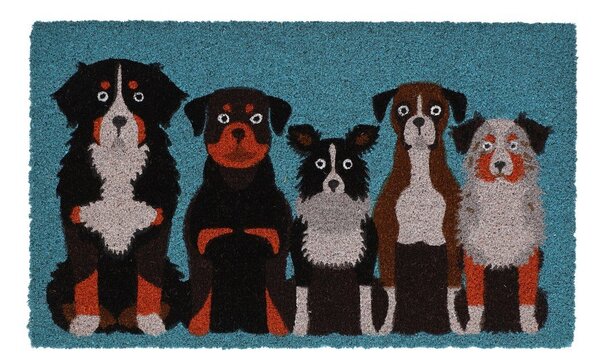 Изтривалка от кокосови влакна 45x75 cm – Esschert Design