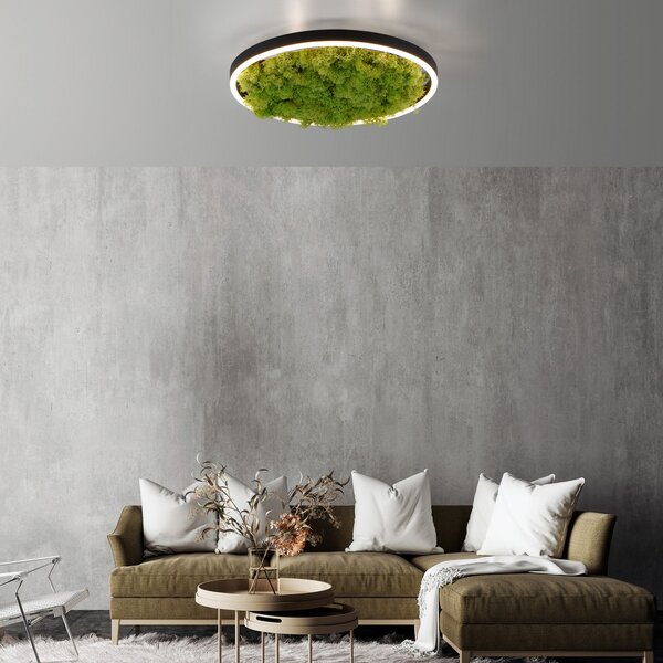 JUST LIGHT. GmbH Светодиодна лампа за таван Green Ritus, мъх с възможност димиране Ø39,3cm, Затъмняване, Зелен, Дневна/трапезария, Модерен