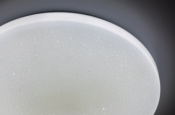 Rabalux 71444 - LED димируемо таванно осветително тяло DANNY 2 LED/12W/230V 3000-6500K Ø 26 см + дистанционно управление