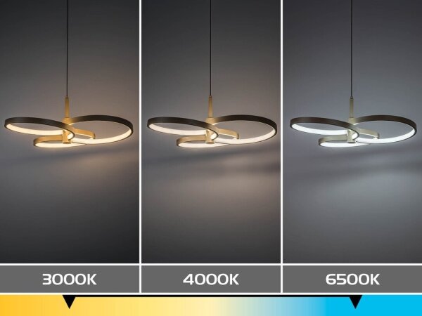 Rabalux 72400 - LED полилей ISIDORA с възможност за димиране, окачен на кабел, 50W/230V, 3000-6500K+DO