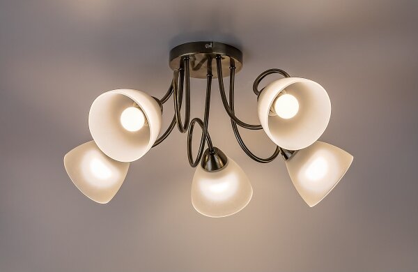 Rabalux 71482 - Плафон PALOMINA 5xE27/60W/230V