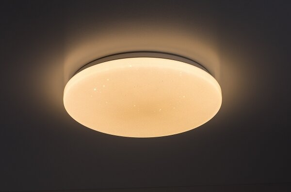 Rabalux 71444 - LED димируемо таванно осветително тяло DANNY 2 LED/12W/230V 3000-6500K Ø 26 см + дистанционно управление