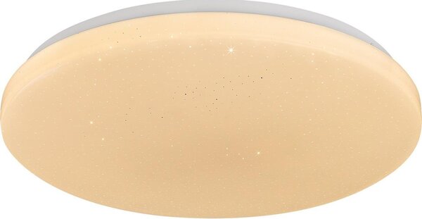 Rabalux 71444 - LED димируемо таванно осветително тяло DANNY 2 LED/12W/230V 3000-6500K Ø 26 см + дистанционно управление