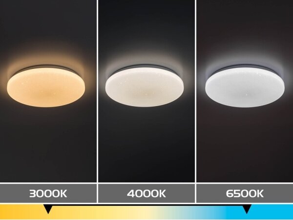 Rabalux 71444 - LED димируемо таванно осветително тяло DANNY 2 LED/12W/230V 3000-6500K Ø 26 см + дистанционно управление