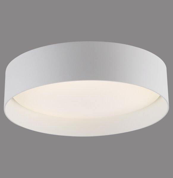Schöner Wohnen 14593-16 - димируемо LED таванно осветително тяло TAVOLI LED/10W/230V бяло + дистанционно управление