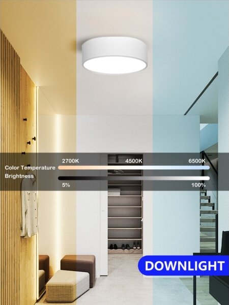 Immax NEO 07204L - LED Димируема лампа RONDATE LED/18W/230V бял Tuya + д.у
