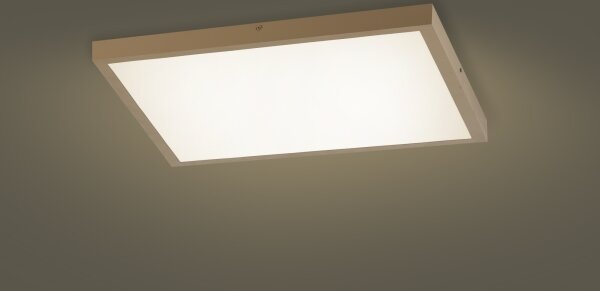 Brilagi - димируемо LED осветително тяло за баня FRAME SMART LED/50W/230V 60x60 IP44 + дистанционно управление