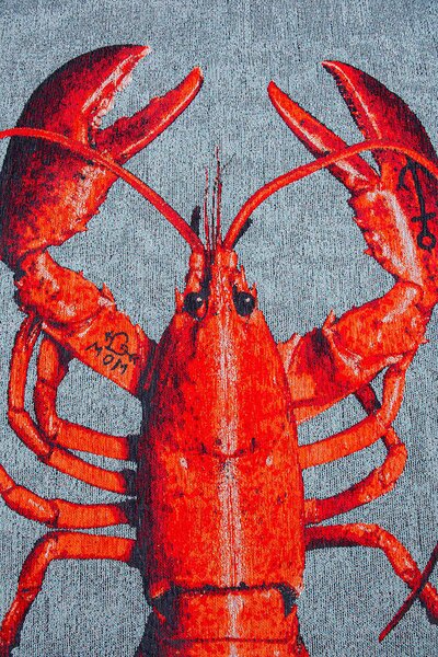 Килим Lobster Steam Red - 100/140