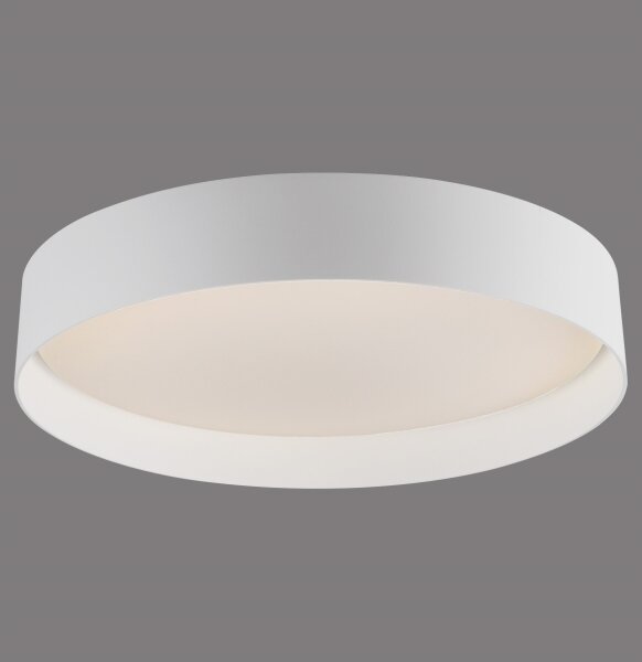 Schöner Wohnen 14594-16 - LED димируемо таванно осветително тяло TAVOLI LED/20W/230V бяло+ДУ