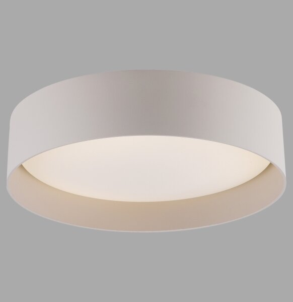 Schöner Wohnen 14593-39 - LED димируемо таванно осветително тяло TAVOLI LED/10W/230V, сиво, с дистанционно управление