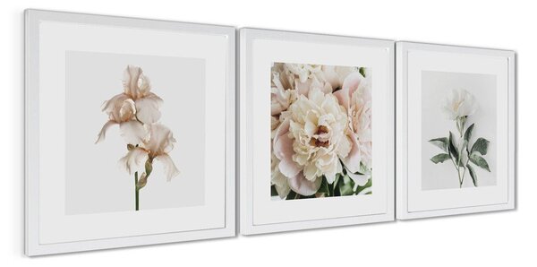 Печатни картини в комплект 3 бр. с включена рамка 30x30 cm Posy – Styler