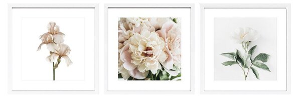 Печатни картини в комплект 3 бр. с включена рамка 30x30 cm Posy – Styler