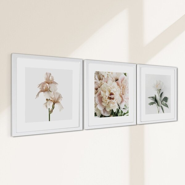 Печатни картини в комплект 3 бр. с включена рамка 30x30 cm Posy – Styler