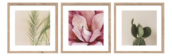 Печатни картини в комплект 3 бр. с включена рамка 30x30 cm Fresh – Styler