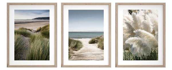 Печатни картини в комплект 3 бр. с включена рамка 30x40 cm Tranquil – Styler