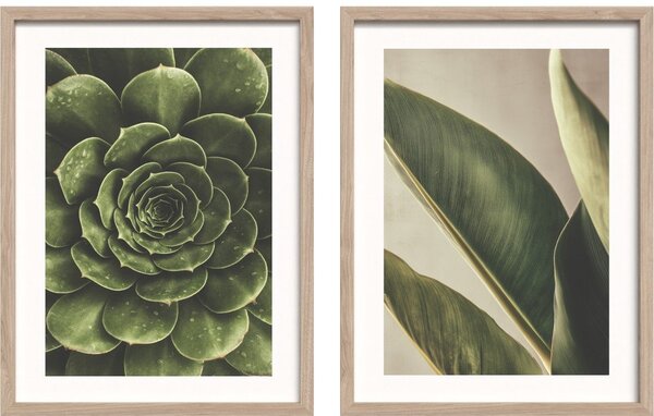 Печатни картини в комплект 2 бр. с включена рамка 30x40 cm Beauty Green – Styler