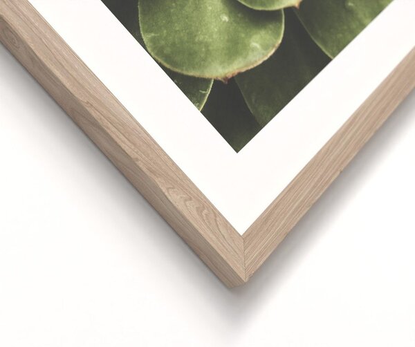 Печатни картини в комплект 2 бр. с включена рамка 30x40 cm Beauty Green – Styler