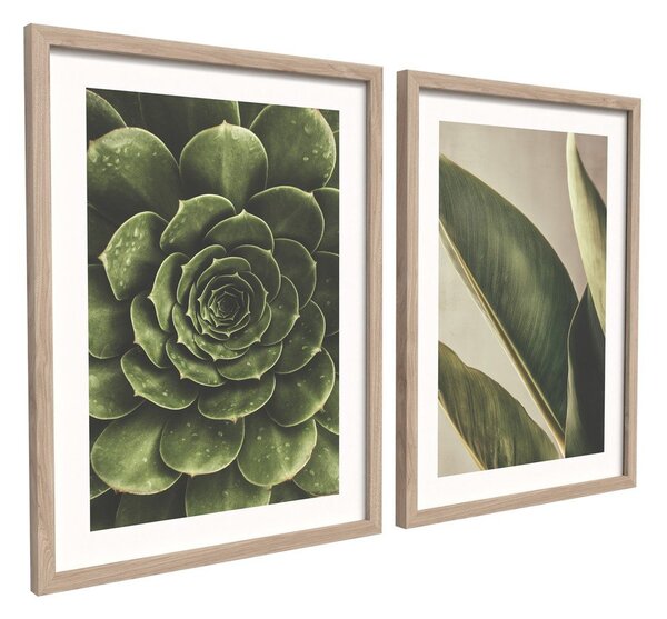 Печатни картини в комплект 2 бр. с включена рамка 30x40 cm Beauty Green – Styler