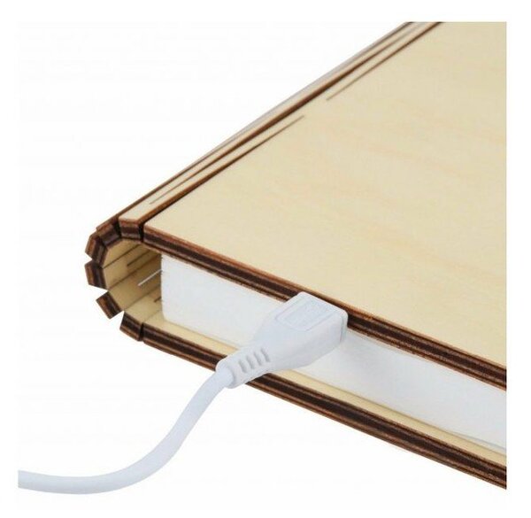 Светлинна декорация с USB в естествен цвят Booklight – Gingko