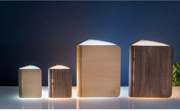 Светлинна декорация с USB в естествен цвят Booklight – Gingko