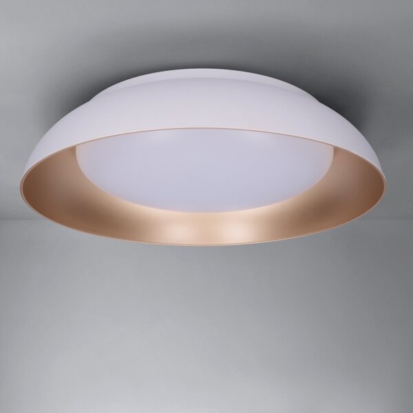 Brilagi - Димируемо LED осветително тяло ALVA LED/48W/230V 3000-6500K Ø 51 cm бяло + дистанционно управление