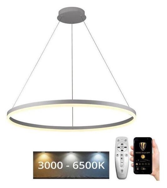 Brilagi - Димируем LED полилей на кабел CIRCLE LED/55W/230V 3000-6500K + ДУ