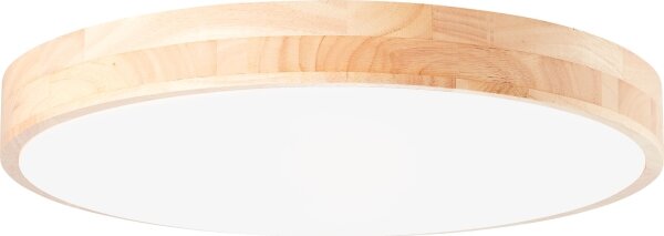 Brilliant - LED с възможност за димиране таванно осветително тяло SLIMLINE LED/60W/230V + дистанционно управление