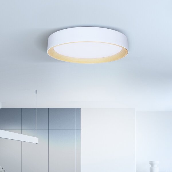 Brilagi -LED Димируема лампа LARIOS LED/48W/230V 3000-6500K ø 39 см бял + д.у