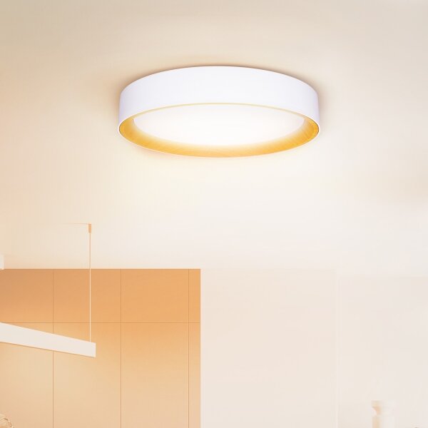 Brilagi -LED Димируема лампа LARIOS LED/48W/230V 3000-6500K ø 39 см бял + д.у