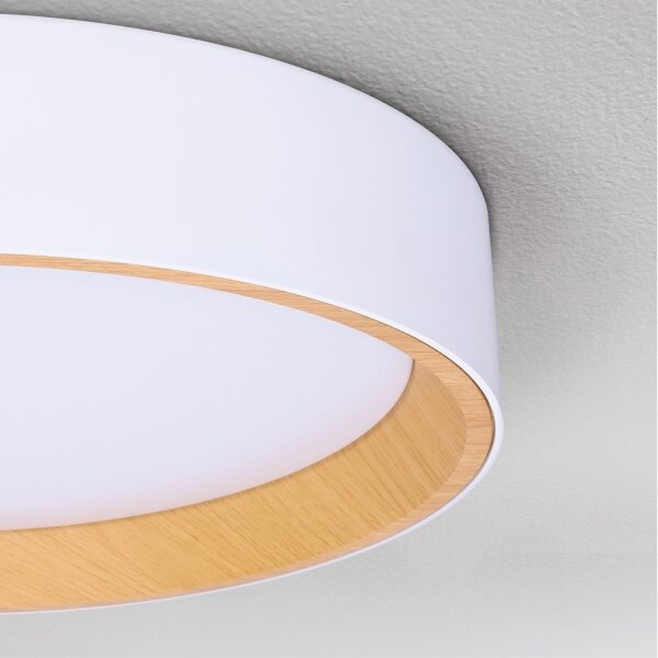 Brilagi -LED Димируема лампа LARIOS LED/48W/230V 3000-6500K ø 39 см бял + д.у