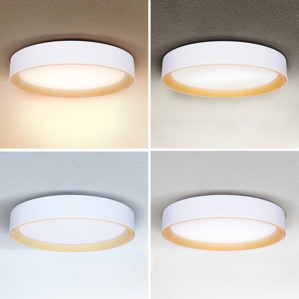 Brilagi -LED Димируема лампа LARIOS LED/48W/230V 3000-6500K ø 39 см бял + д.у