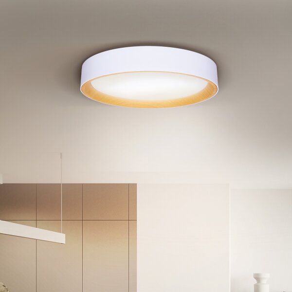 Brilagi -LED Димируема лампа LARIOS LED/48W/230V 3000-6500K ø 39 см бял + д.у