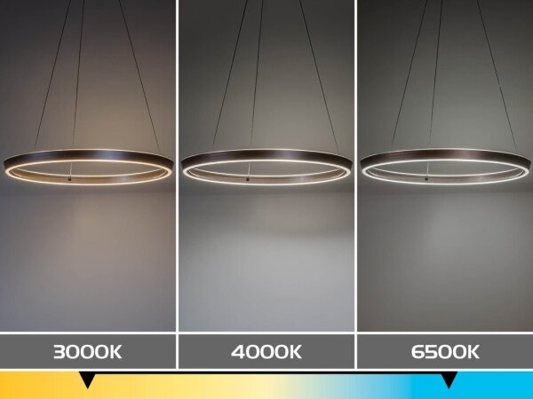 Rabalux 72402 - Димируем LED полилей с кабелно окачване NEVIRA LED/70W/230V 3000-6500K+DO