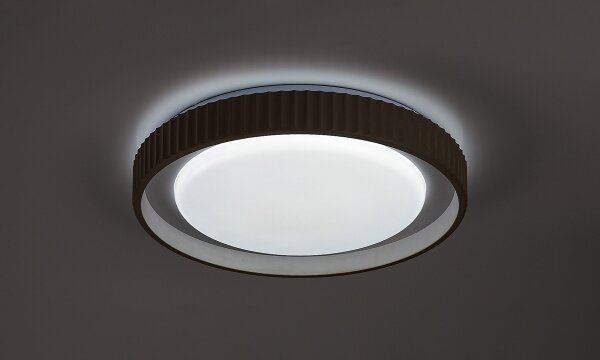 Rabalux 71345 - Димируемо LED таванно осветително тяло PASTELLO LED/48W/230V 3000-6500K Ø49,5cm + дистанционно управление