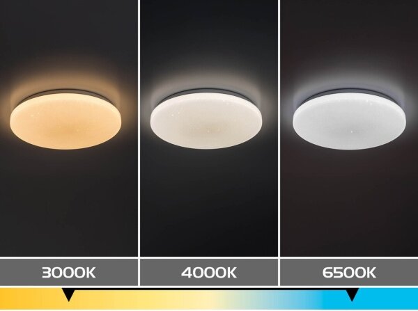 Rabalux 71445 - LED димируем таванен плафон DANNY 2 LED/22W/230V 3000-6500K Ø 33 см + с дистанционно управление
