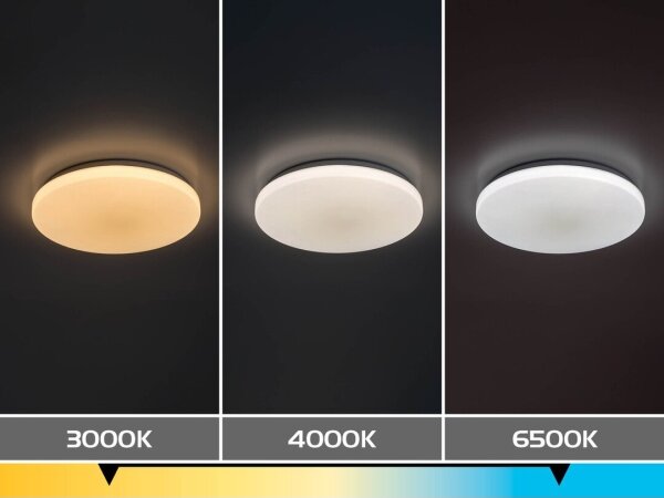 Rabalux 71442 - димируемо LED таванно осветително тяло DANNY 2 LED/34W/230V 3000-6500K Ø 38 см + с дистанционно управление