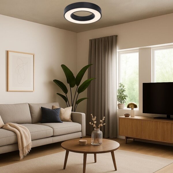 Rabalux 71360 - LED плафон CIRANO LED/24W/230V 3000/4000/6500K Ø40 см черен