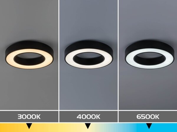 Rabalux 71360 - LED плафон CIRANO LED/24W/230V 3000/4000/6500K Ø40 см черен
