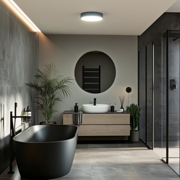 Brilagi - LED таванно осветително тяло за баня POOL LED/24W/230V Ø 30 см IP54 черно