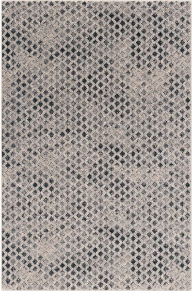 Вълнен килим 80x150 cm Fridia – Agnella