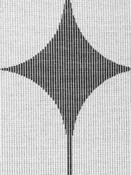 Черно-бял килим за открито и закрито 160x230 cm Duet Bowen – NORTHRUGS