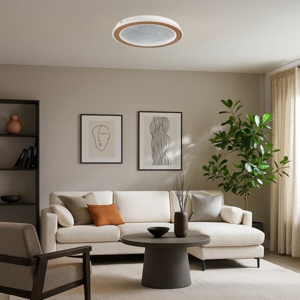 Rabalux 71281-LED Таванно LED осветително тяло ZOFRAEL 24W/230V 3000-6500K Ø40 см с регулируема яркост + ДУ