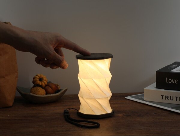 Бяла/сива преносима светлинна декорация с USB ø 8 cm Twist – Gingko