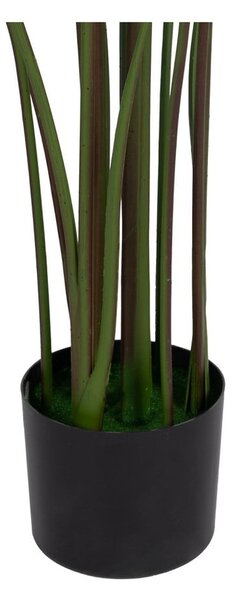 Изкуствено растение (височина 150 cm) Calathea – Ixia