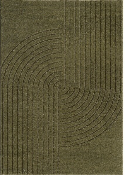 Зелен килим 160x230 cm Solace – ESTE
