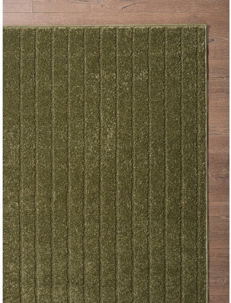 Зелен килим 160x230 cm Solace – ESTE