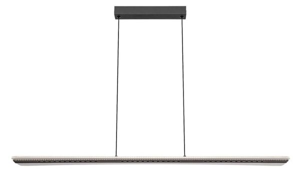 Rabalux 72026 - LED полилей на кабел NORAEL LED/40W/230V 3000K